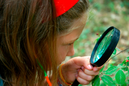 Homeschool field trips