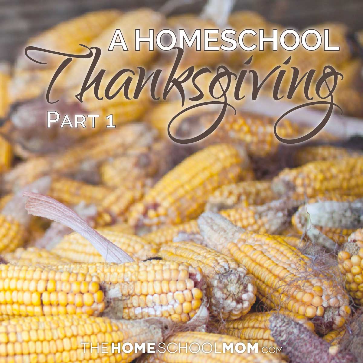 Dried corn in a corn crib with text A Homeschool Thanksgiving Part 1 TheHomeSchoolMom.com