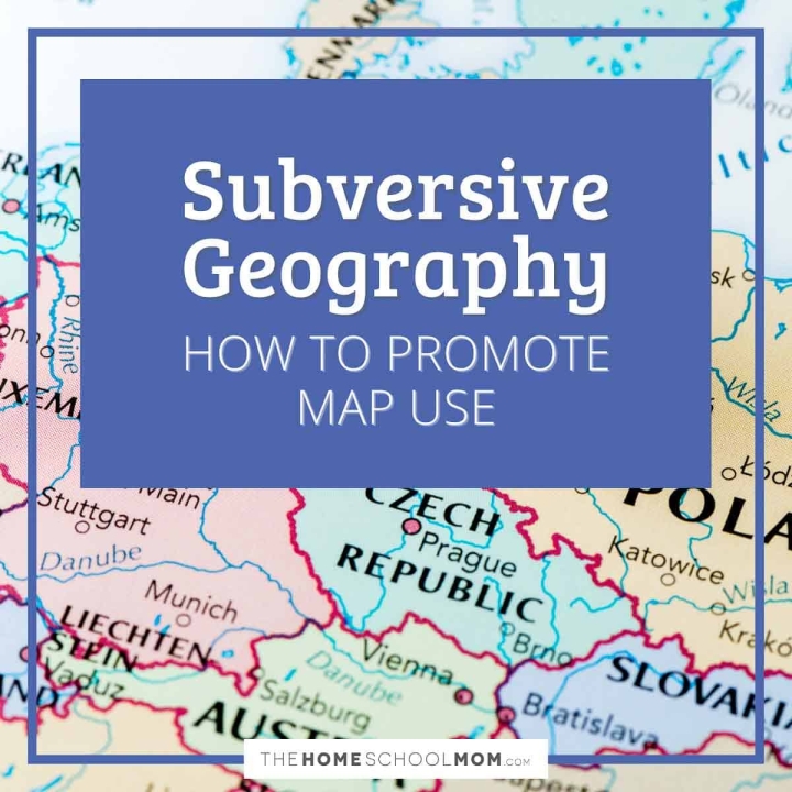 Subversive Geography - how to promote map use.