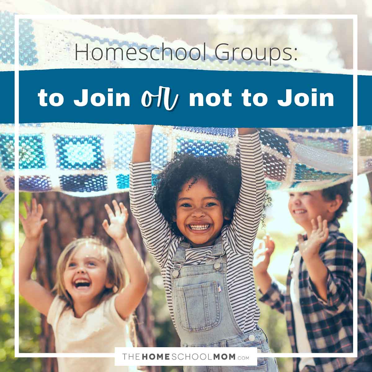 Homeschool Groups: To Join or Not to Join.