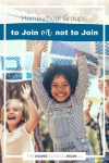 Homeschool Groups: To Join or Not to Join.