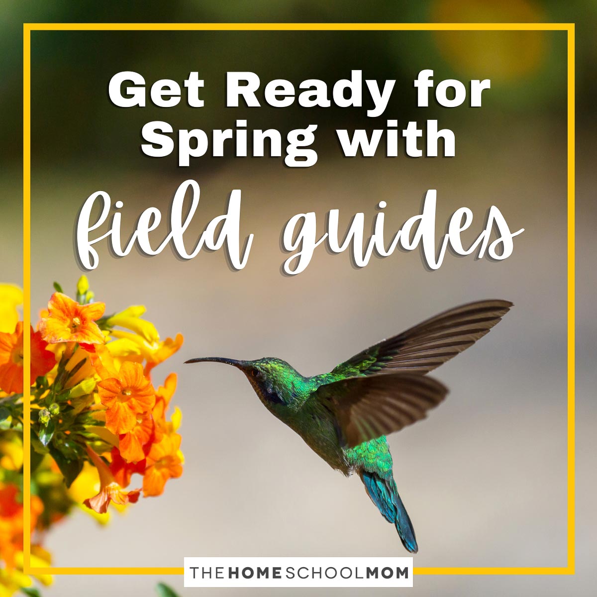Get Ready for Spring with Field Guides