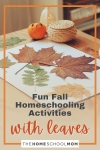 Fun Fall Homeschooling Activities With Leaves