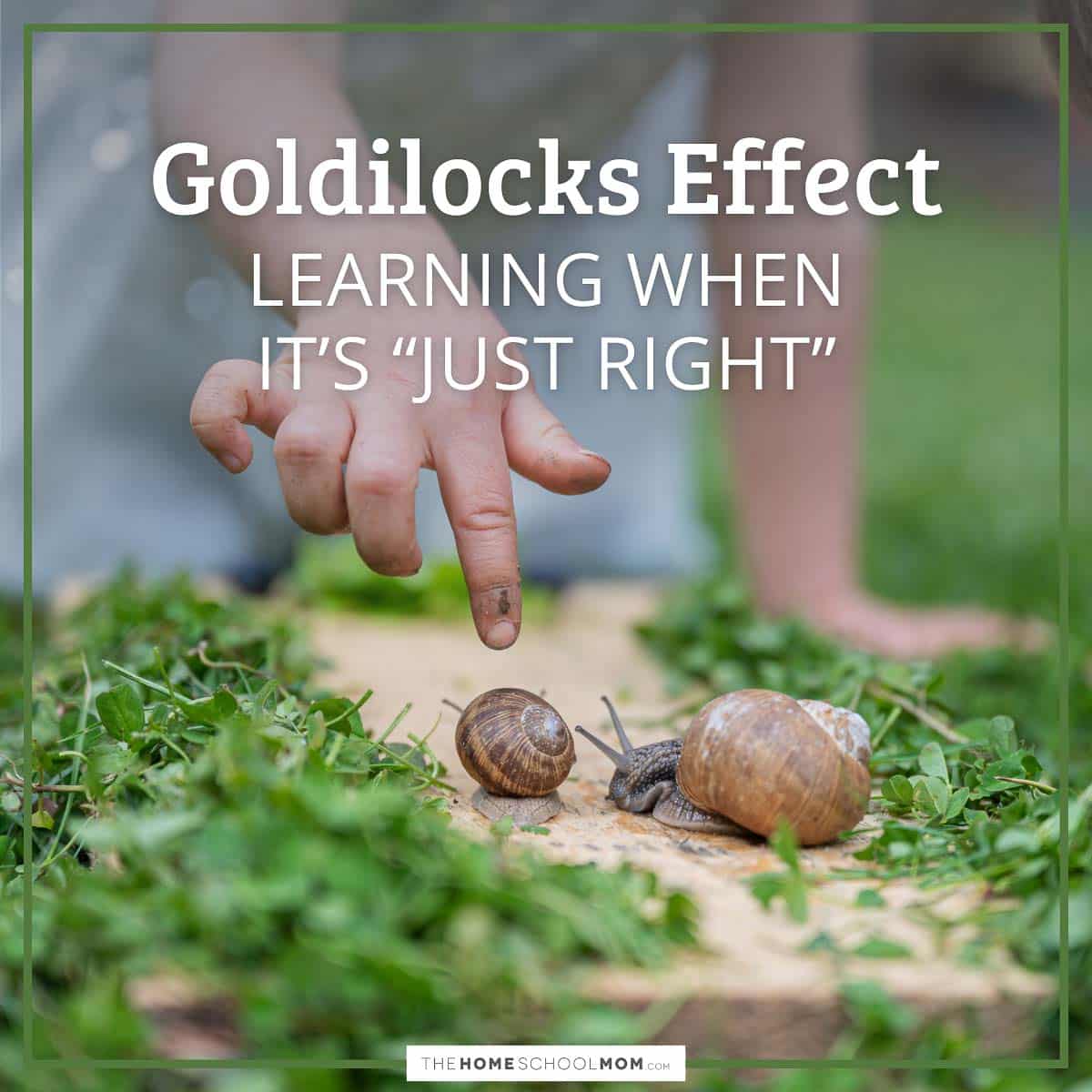 Goldilocks Effect: Learning when it's just right.