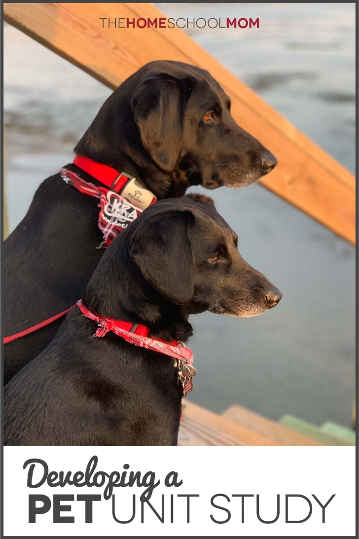 Two black dogs looking out at the water from a dock with text Developing a Pet Unit Study