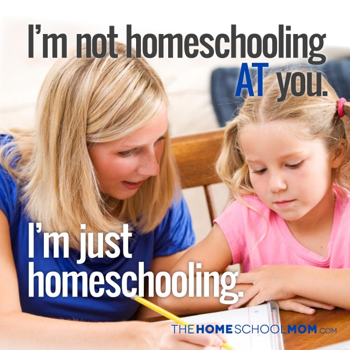 TheHomeSchoolMom Blog: I'm not homeschooling AT you; I'm just homeschooling.
