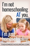 TheHomeSchoolMom Blog: I'm not homeschooling AT you; I'm just homeschooling.