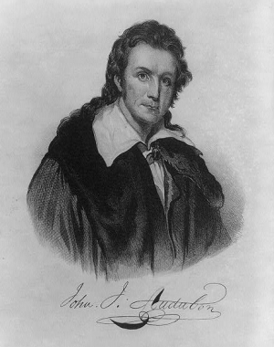 John J. Audubon John J. Audubon