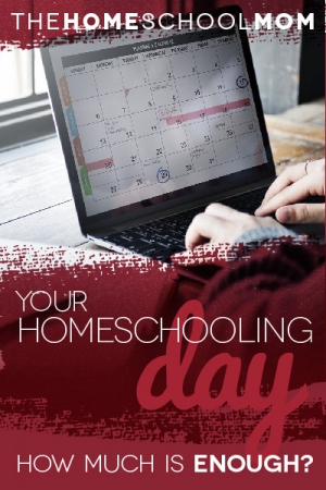 TheHomeSchoolMom Blog: How Much Is Enough?
