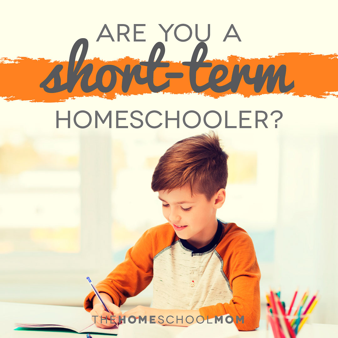 TheHomeSchoolMom Blog: Short-term Homeschooling