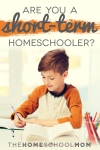 TheHomeSchoolMom Blog: Short-term Homeschooling