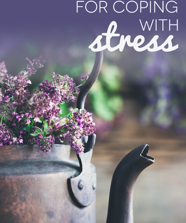 TheHomeSchoolMom: Simple Strategies for Coping with Stress