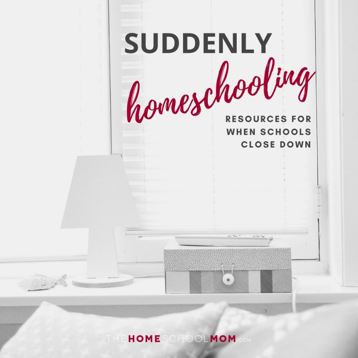 Image of sofa with pillows and a lamp on a table with text Suddenly Homeschooling: Resources for when schools close down - TheHomeSchoolMom.com