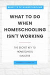 Benefits of homeschooling: What to do when homeschooling isn't working (the secret key to homeschool success) - TheHomeSchoolMom.com