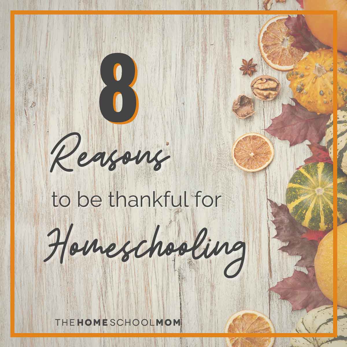 8 Reasons to be Thankful for Homeschooling - TheHomeSchoolMom