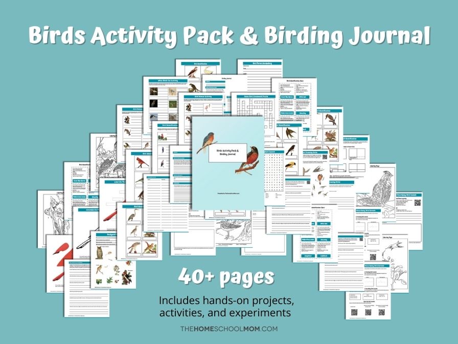 Screenshots of Birds Activity Pack & Birding Journal (40+ pages).
