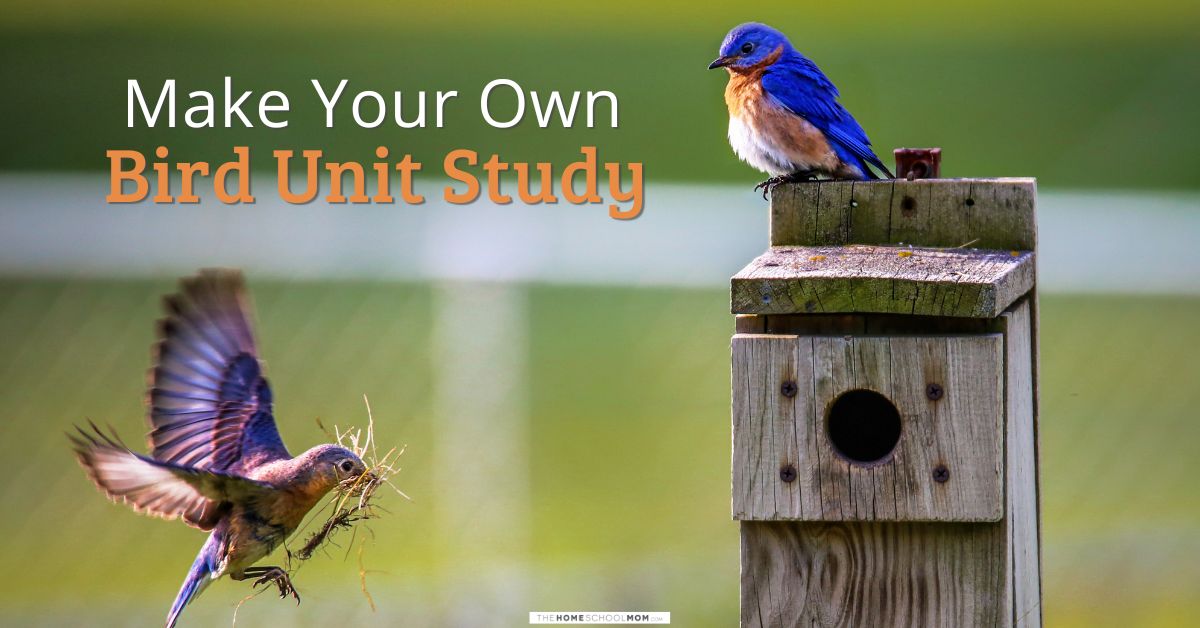 Make your own bird unit study.