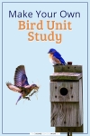 Make your own bird unit study.