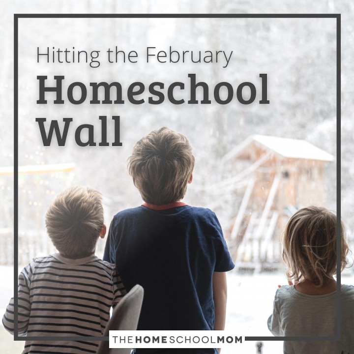Hitting the February Homeschool Wall