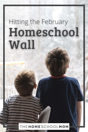 Hitting the February Homeschool Wall