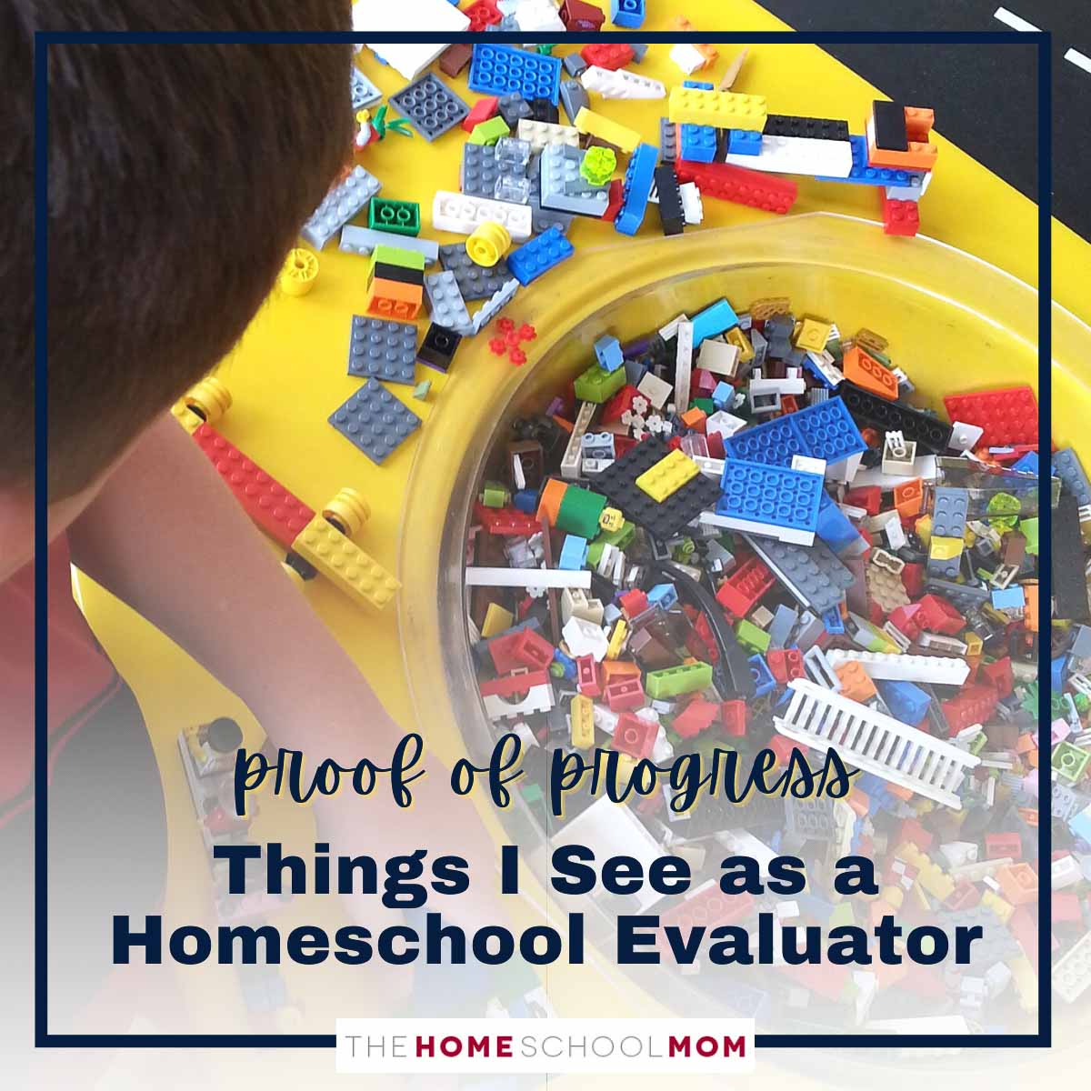 proof of progress: things I see as a homeschool evaluator