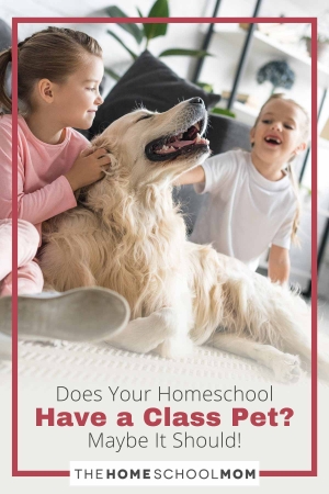Does Your Homeschool Have a Class Pet? Maybe It Should!