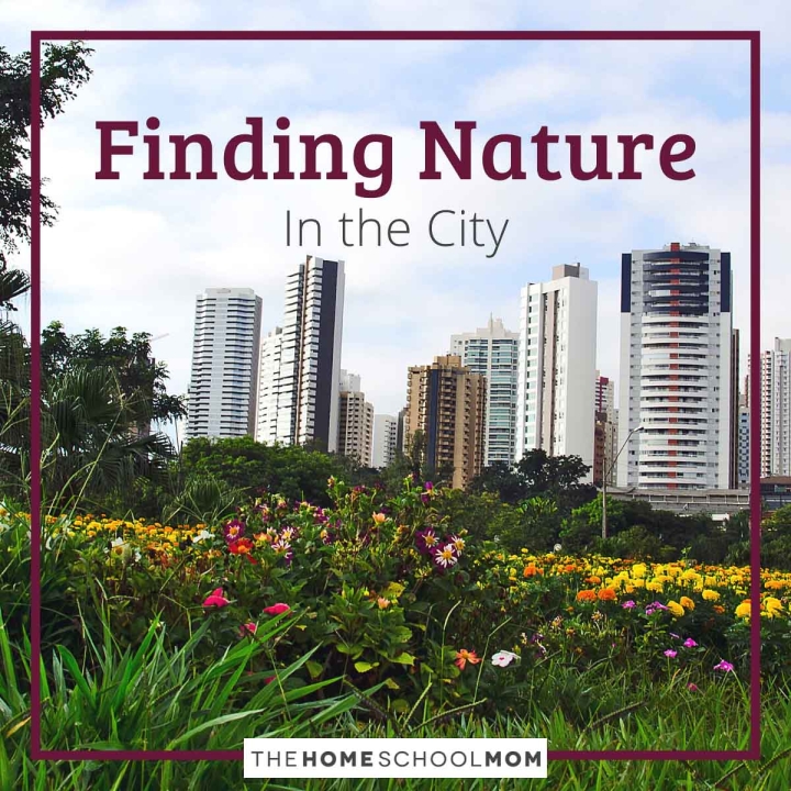 Finding Nature in the City