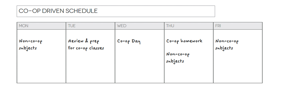 Screenshot of an example co-op driven homeschool schedule