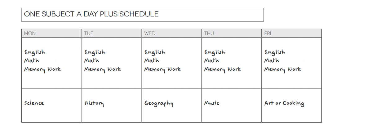 Screenshot of an example homeschool schedule based on one subject per day plus some subjects every day