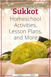 Sukkot Homeschool Activities, Lesson Plans, and More.