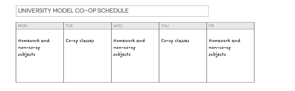 Screenshot of an example University Model co-op schedule