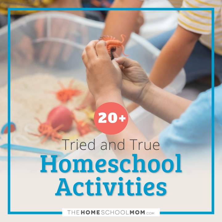 20+ Tried and true homeschool activities.