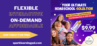 Spark Learning Pal: Your ultimate homeschool Solution: flexible, interactive, on-demand, affordable; teacher-led sessions for grades Pre-K - 12th grade.