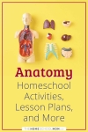 Anatomy Homeschool Activities, Lesson Plans, and More.