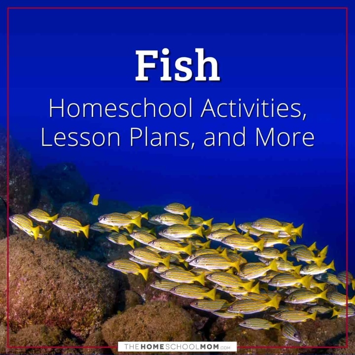 Fish Homeschool Activities, Lesson Plans, and More.