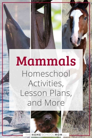 Mammals Homeschool Activities, Lesson Plans, and More.