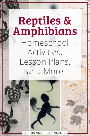 Reptiles & Amphibians Homeschool Activities, Lesson Plans, and More.