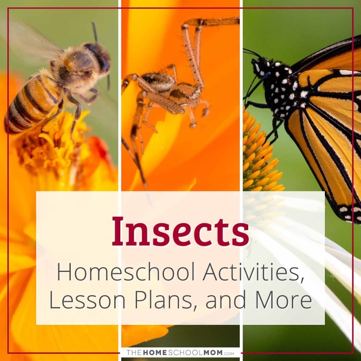 Insects Homeschool Activities, Lesson Plans, and More.