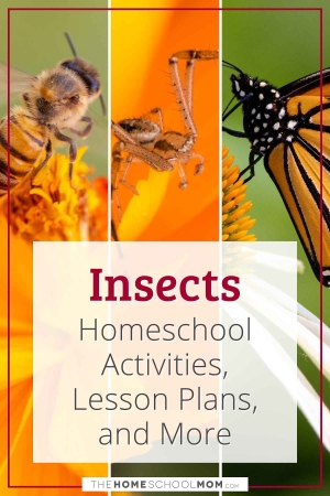 Insects Homeschool Activities, Lesson Plans, and More.