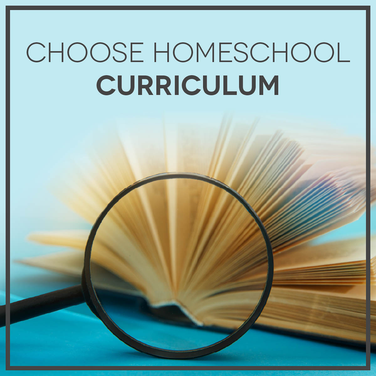 Choose homeschool curriculum.