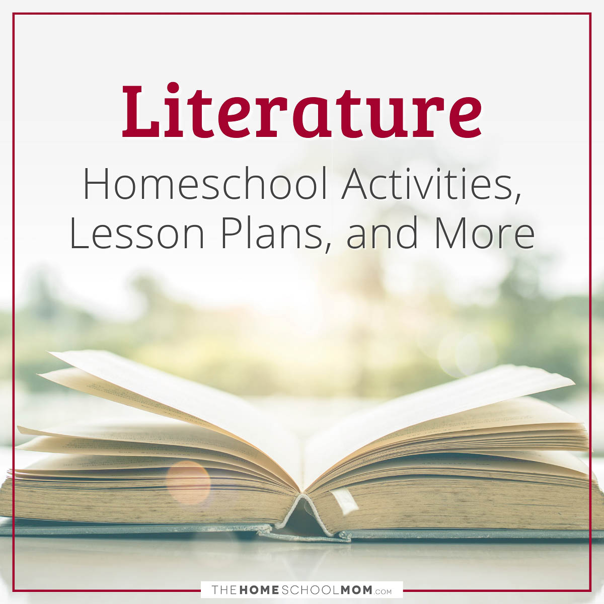 Literature Homeschool Activities, Lesson Plans, and More from TheHomeschoolMom.com