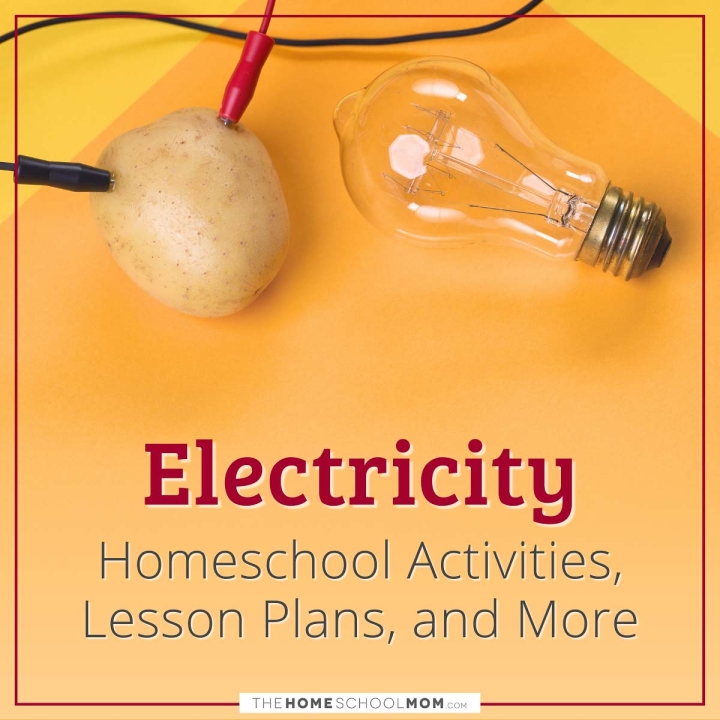 Electricity homeschool activities, lesson plans, and more.