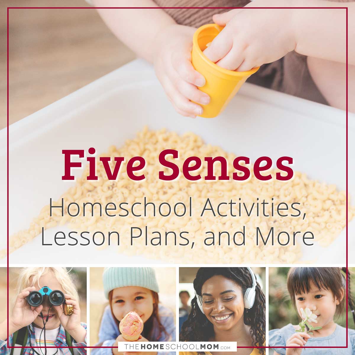 Five Senses homeschool activities, lesson plans, and more.
