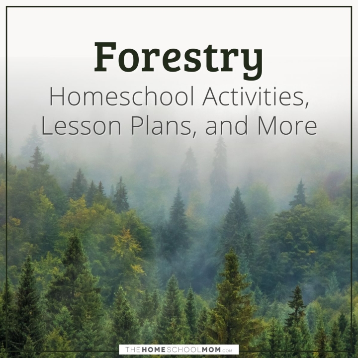 Forestry homeschool activities, lesson plans, and more.