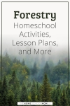 Forestry homeschool activities, lesson plans, and more.
