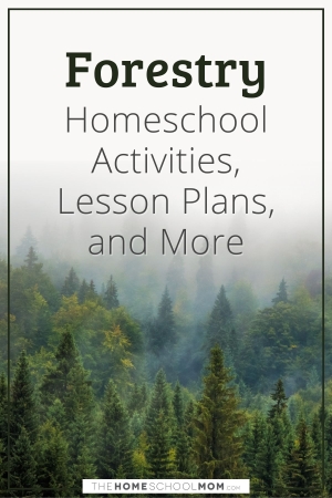 Forestry homeschool activities, lesson plans, and more.