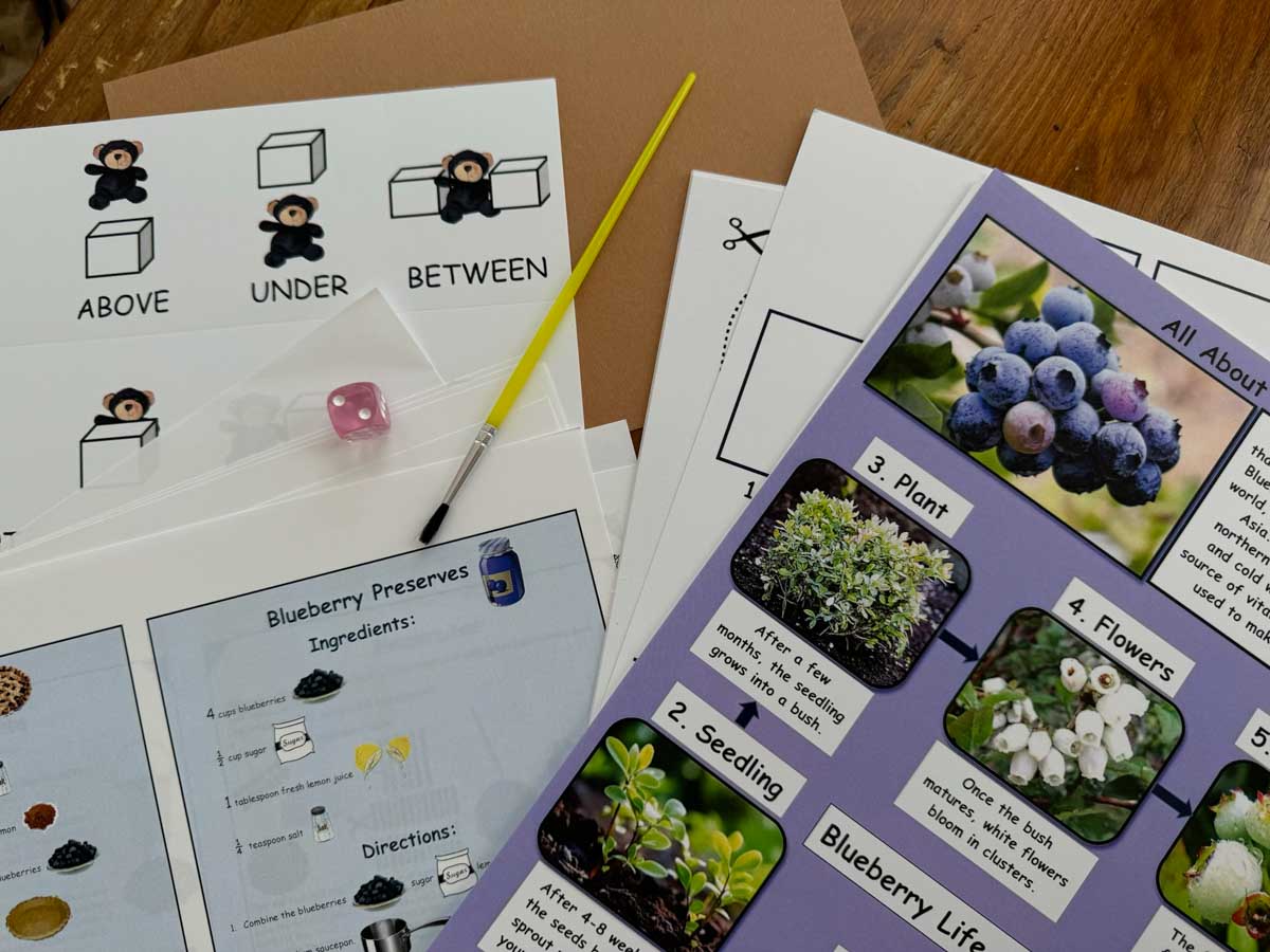 Activity sheets with activities to go with Blueberries for Sal.