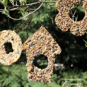Bird seed ornaments hung by florist wire in a tree outside.