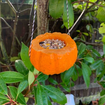 A pumpkin with its top and center removed and filled with birdseed hanging from a tree outside.