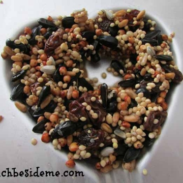 Bird seed in a heat-shaped mold.